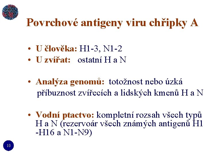 Povrchové antigeny viru chřipky A • U člověka: H 1 -3, N 1 -2