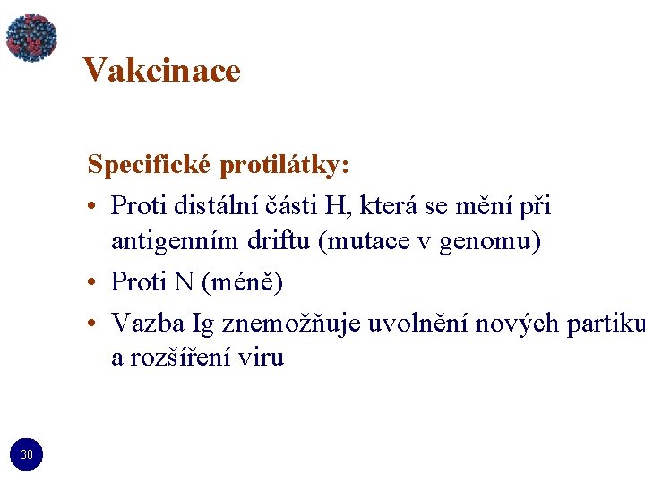 Vakcinace Specifické protilátky: • Proti distální části H, která se mění při antigenním driftu