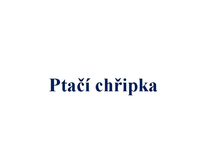 Ptačí chřipka 