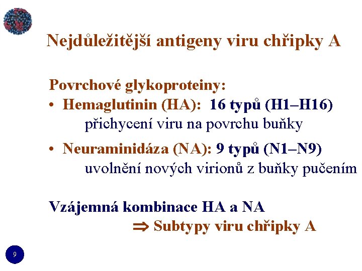 Nejdůležitější antigeny viru chřipky A Povrchové glykoproteiny: • Hemaglutinin (HA): 16 typů (H 1–H