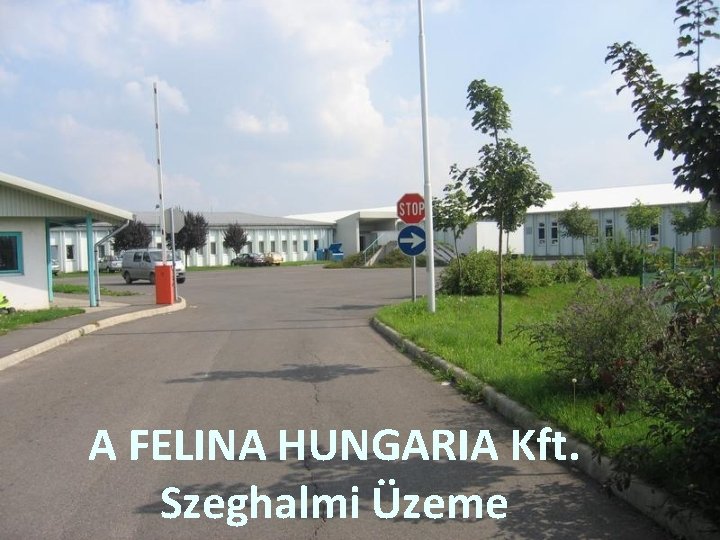 A FELINA HUNGARIA Kft. Szeghalmi Üzeme 