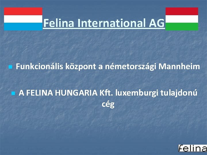 Felina International AG n n Funkcionális központ a németországi Mannheim A FELINA HUNGARIA Kft.