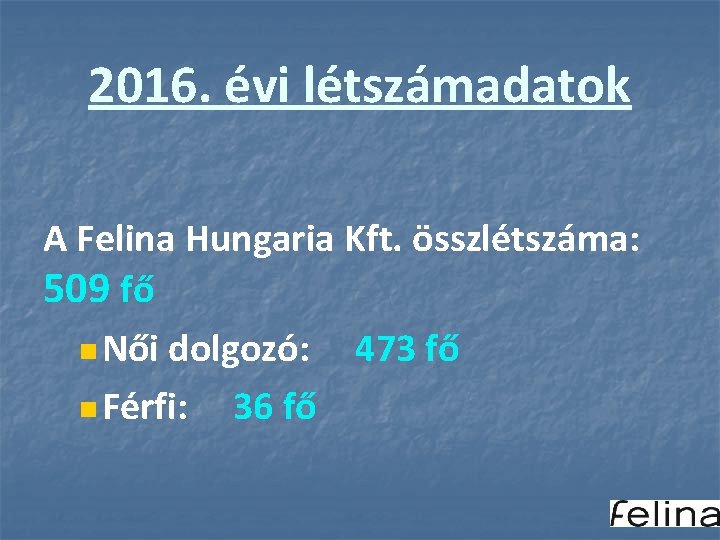 2016. évi létszámadatok A Felina Hungaria Kft. összlétszáma: 509 fő n Női dolgozó: 473