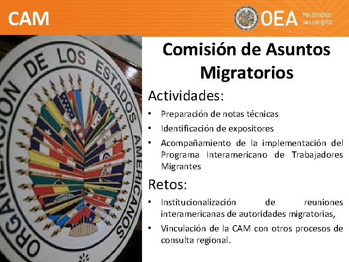CAM Comisión de Asuntos Migratorios Actividades: • Preparación de notas técnicas • Identificación de