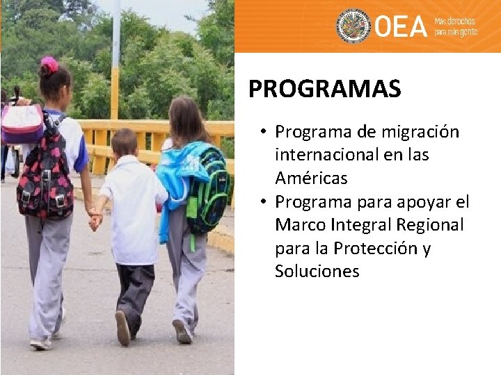 PROGRAMAS • Programa de migración internacional en las Américas • Programa para apoyar el