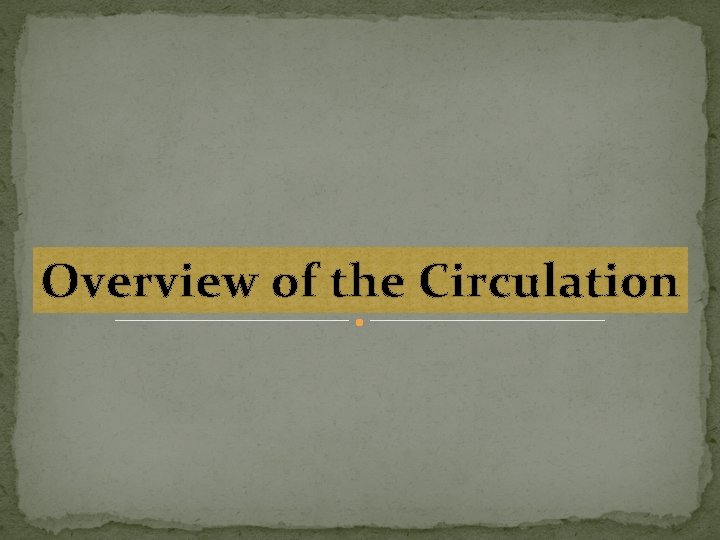 Overview of the Circulation 