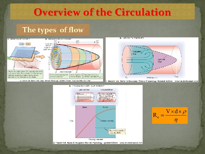 Overview of the Circulation The types of flow 