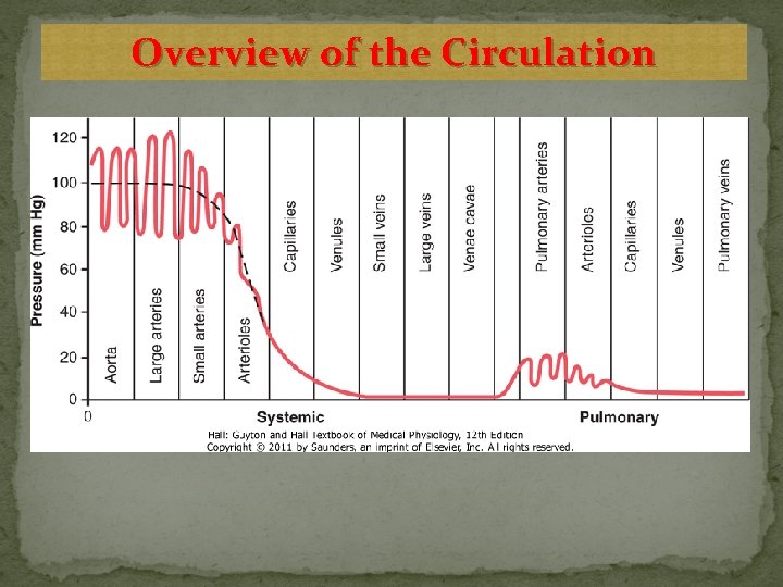 Overview of the Circulation 