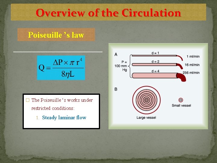 Overview of the Circulation Poiseuille ’s law � The Poiseuille ’s works under restricted