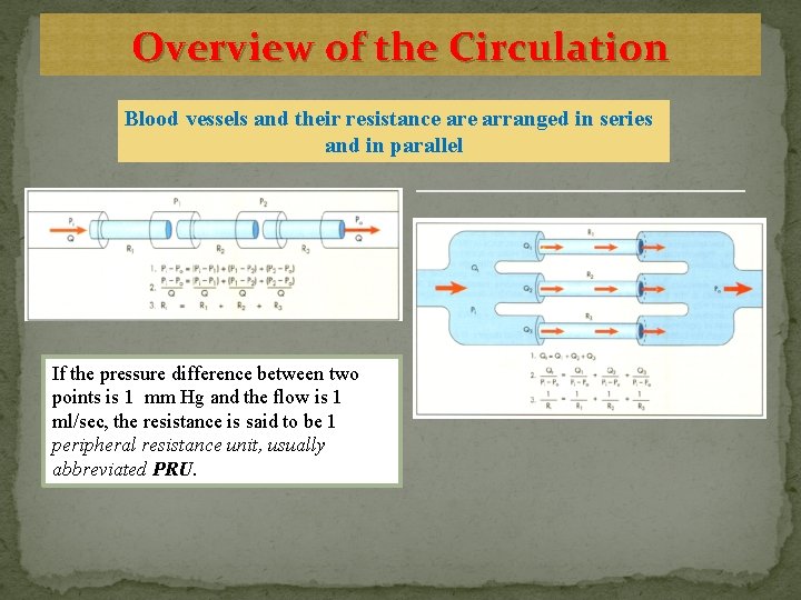 Overview of the Circulation Blood vessels and their resistance arranged in series and in