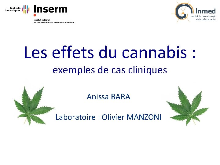 Les effets du cannabis : exemples de cas cliniques Anissa BARA Laboratoire : Olivier
