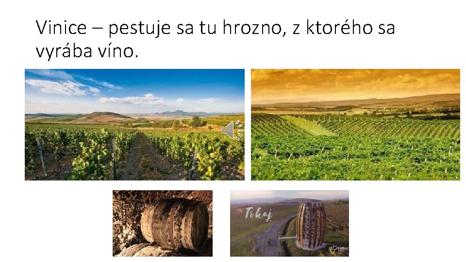 Vinice – pestuje sa tu hrozno, z ktorého sa vyrába víno. 
