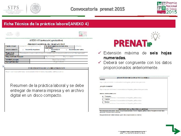 Convocatoria prenat 2015 Ficha Técnica de la práctica laboral(ANEXO 4) PRENATIP ü Extensión máxima Convocatoria prenat 2015 Ficha Técnica de la práctica laboral(ANEXO 4) PRENATIP ü Extensión máxima