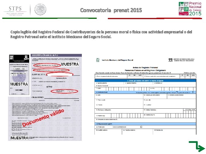 Convocatoria prenat 2015 Copia legible del Registro Federal de Contribuyentes de la persona moral Convocatoria prenat 2015 Copia legible del Registro Federal de Contribuyentes de la persona moral