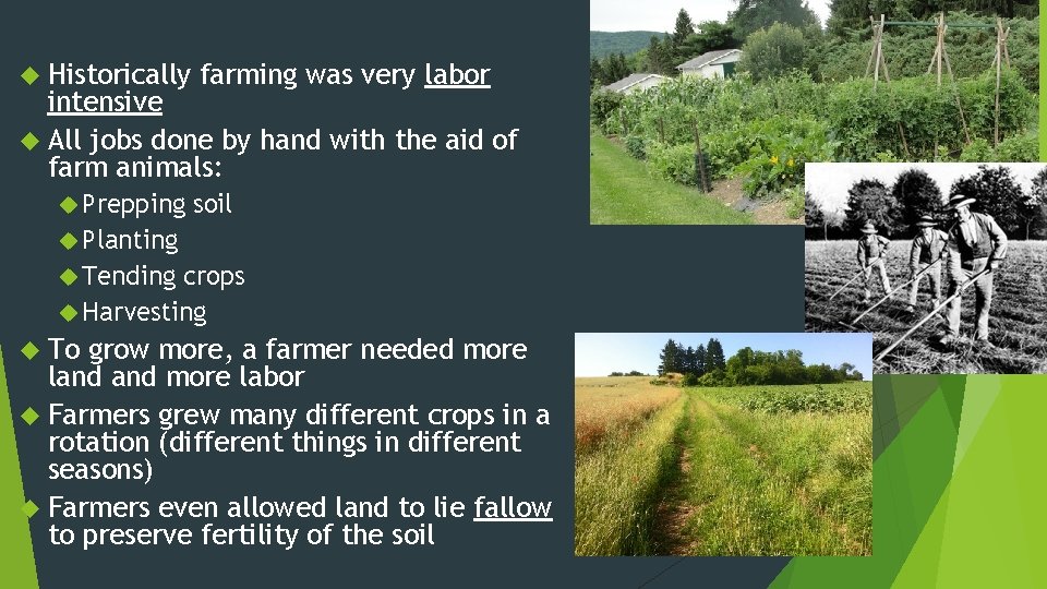  Historically farming was very labor intensive All jobs done by hand with the