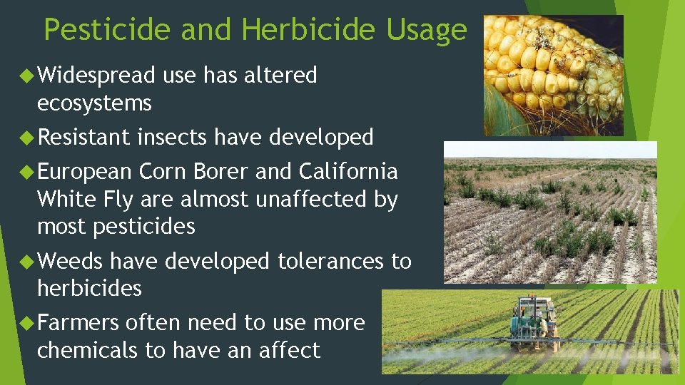 Pesticide and Herbicide Usage Widespread use has altered ecosystems Resistant insects have developed European