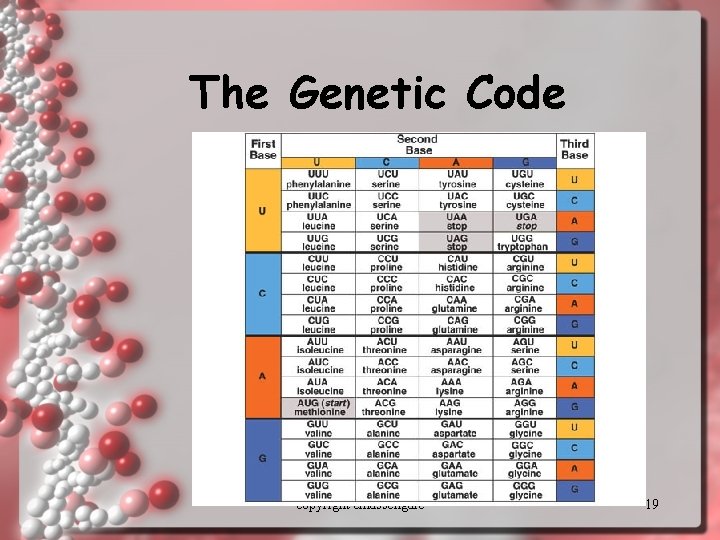 The Genetic Code copyright cmassengale 19 