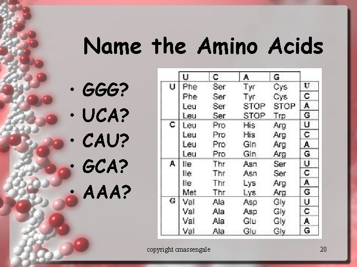 Name the Amino Acids • • • GGG? UCA? CAU? GCA? AAA? copyright cmassengale
