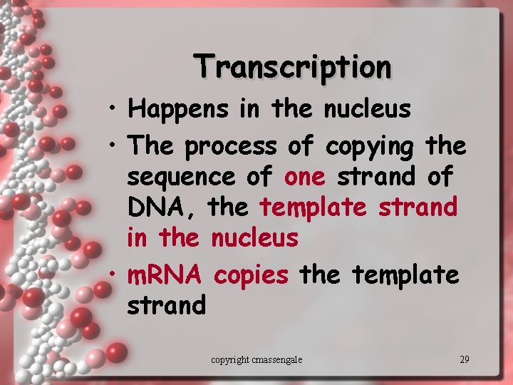 Transcription • Happens in the nucleus • The process of copying the sequence of