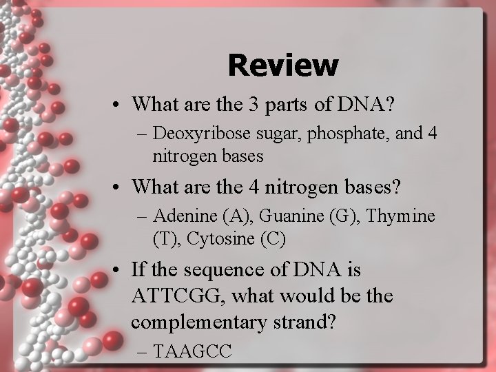 Review • What are the 3 parts of DNA? – Deoxyribose sugar, phosphate, and