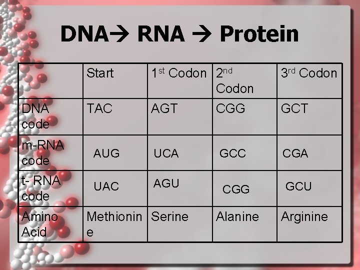 DNA RNA Protein DNA code Start 1 st Codon 2 nd Codon 3 rd