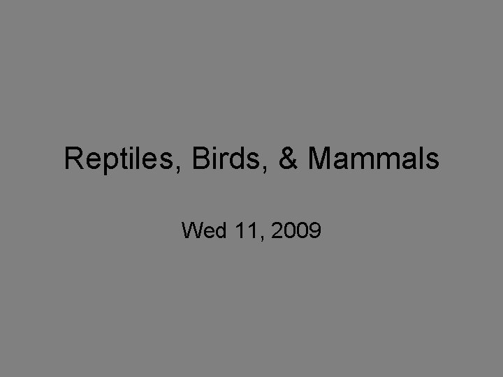 Reptiles, Birds, & Mammals Wed 11, 2009 