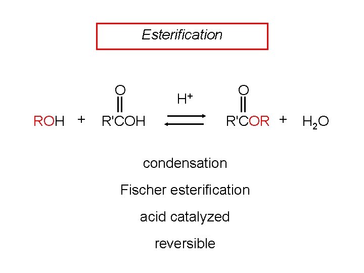 Esterification O ROH + O H+ R'COR + R'COH condensation Fischer esterification acid catalyzed