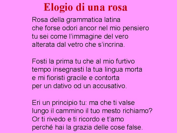 Elogio di una rosa Rosa della grammatica latina che forse odori ancor nel mio