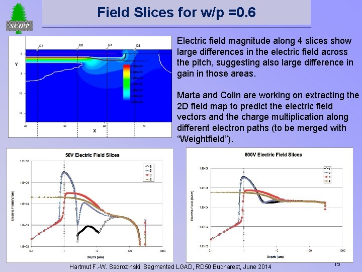 Field Slices for w/p =0. 6 Electric field magnitude along 4 slices show large