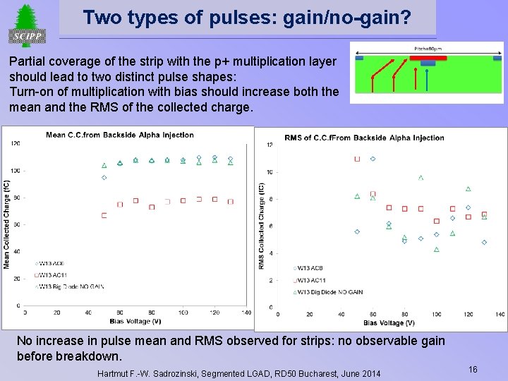 Two types of pulses: gain/no-gain? Partial coverage of the strip with the p+ multiplication