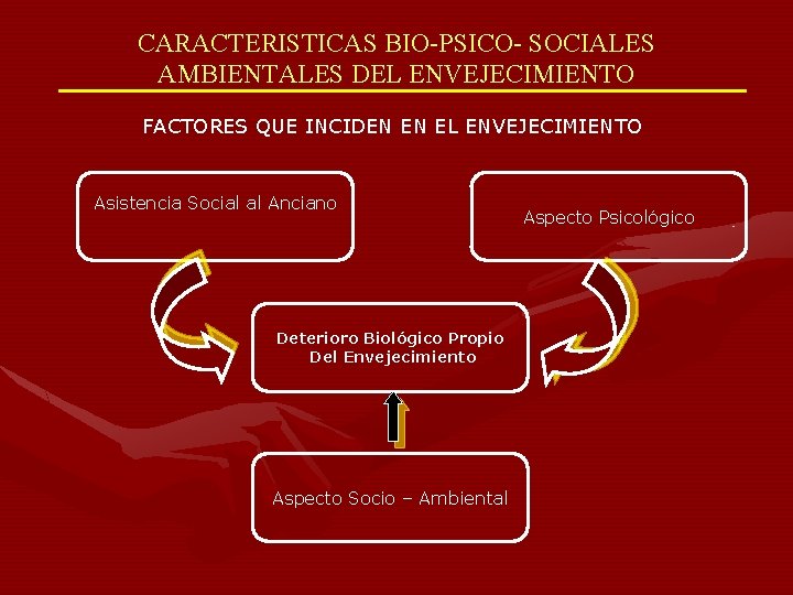 CARACTERISTICAS BIO-PSICO- SOCIALES AMBIENTALES DEL ENVEJECIMIENTO FACTORES QUE INCIDEN EN EL ENVEJECIMIENTO Asistencia Social