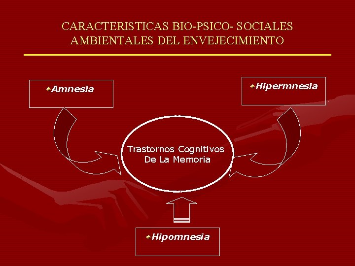 CARACTERISTICAS BIO-PSICO- SOCIALES AMBIENTALES DEL ENVEJECIMIENTO Hipermnesia Amnesia Trastornos Cognitivos De La Memoria Hipomnesia
