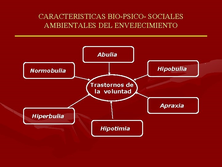 CARACTERISTICAS BIO-PSICO- SOCIALES AMBIENTALES DEL ENVEJECIMIENTO Abulia Hipobulia Normobulia Trastornos de la voluntad Apraxia