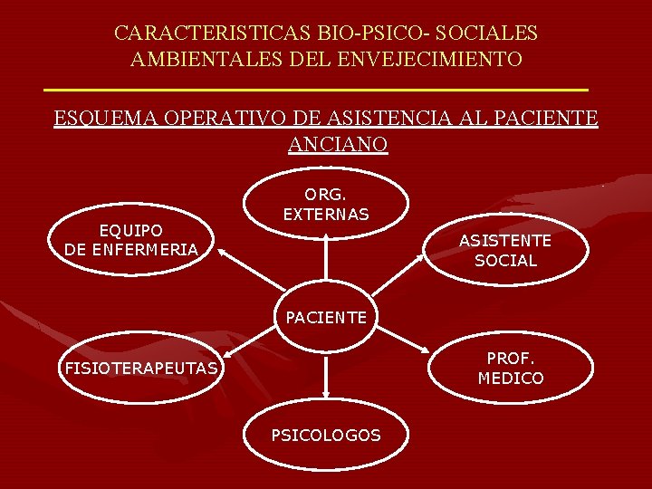 CARACTERISTICAS BIO-PSICO- SOCIALES AMBIENTALES DEL ENVEJECIMIENTO ESQUEMA OPERATIVO DE ASISTENCIA AL PACIENTE ANCIANO EQUIPO