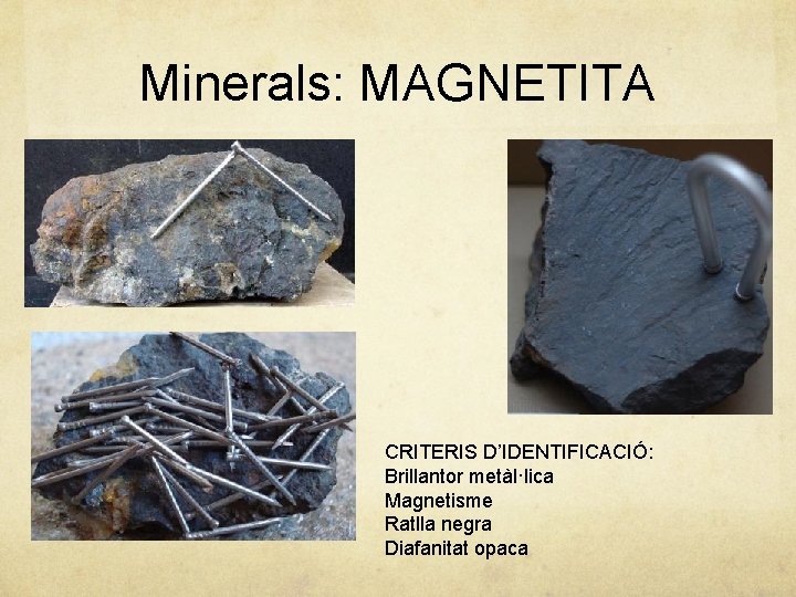 Minerals: MAGNETITA CRITERIS D’IDENTIFICACIÓ: Brillantor metàl·lica Magnetisme Ratlla negra Diafanitat opaca 