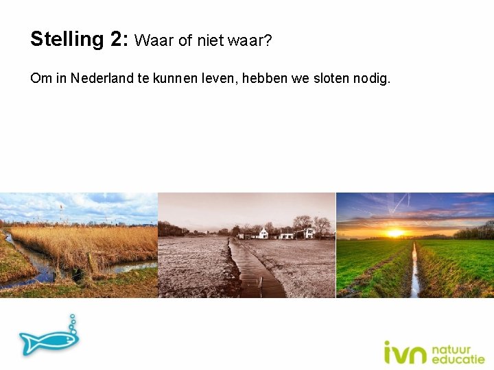 Stelling 2: Waar of niet waar? Om in Nederland te kunnen leven, hebben we