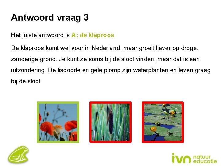 Antwoord vraag 3 Het juiste antwoord is A: de klaproos De klaproos komt wel