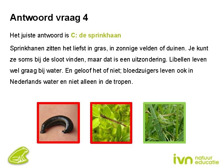 Antwoord vraag 4 Het juiste antwoord is C: de sprinkhaan Sprinkhanen zitten het liefst