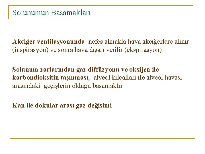 Solunumun Basamakları Akciğer ventilasyonunda nefes almakla hava akciğerlere alınır (inspirasyon) ve sonra hava dışarı