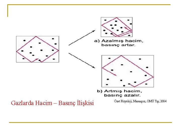 Gazlarda Hacim – Basınç İlişkisi Özet Fizyoloji, Marangoz, OMÜ Tıp, 2004 