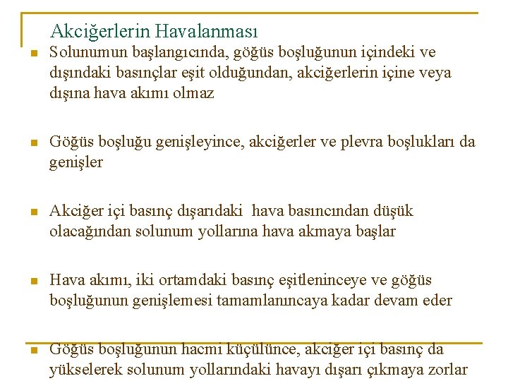 Akciğerlerin Havalanması n Solunumun başlangıcında, göğüs boşluğunun içindeki ve dışındaki basınçlar eşit olduğundan, akciğerlerin