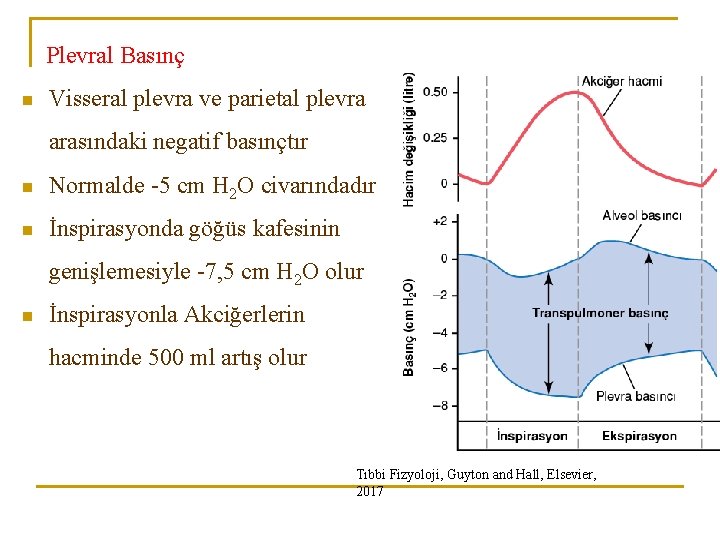 Plevral Basınç n Visseral plevra ve parietal plevra arasındaki negatif basınçtır n Normalde -5