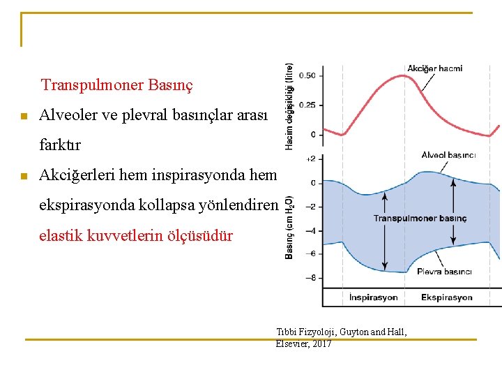 Transpulmoner Basınç n Alveoler ve plevral basınçlar arası farktır n Akciğerleri hem inspirasyonda hem