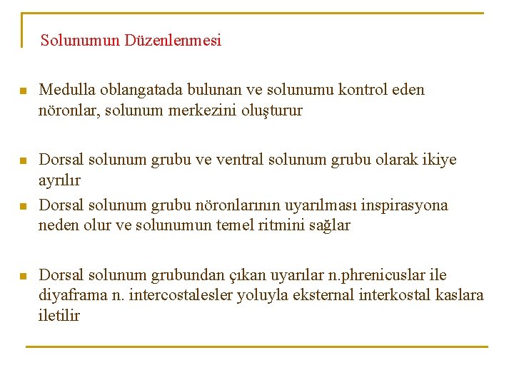 Solunumun Düzenlenmesi n Medulla oblangatada bulunan ve solunumu kontrol eden nöronlar, solunum merkezini oluşturur Solunumun Düzenlenmesi n Medulla oblangatada bulunan ve solunumu kontrol eden nöronlar, solunum merkezini oluşturur