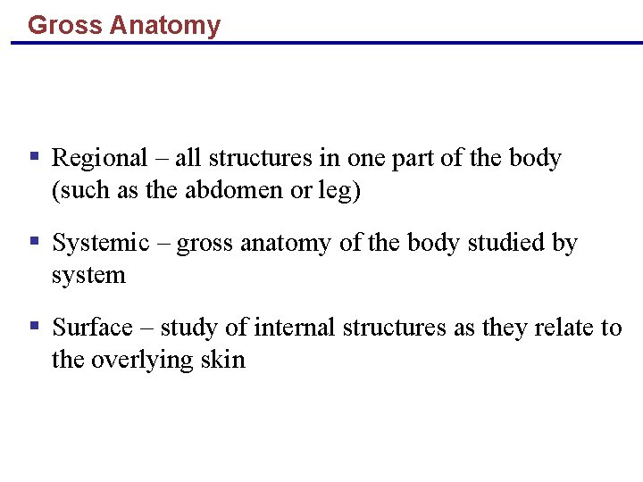 Gross Anatomy § Regional – all structures in one part of the body (such