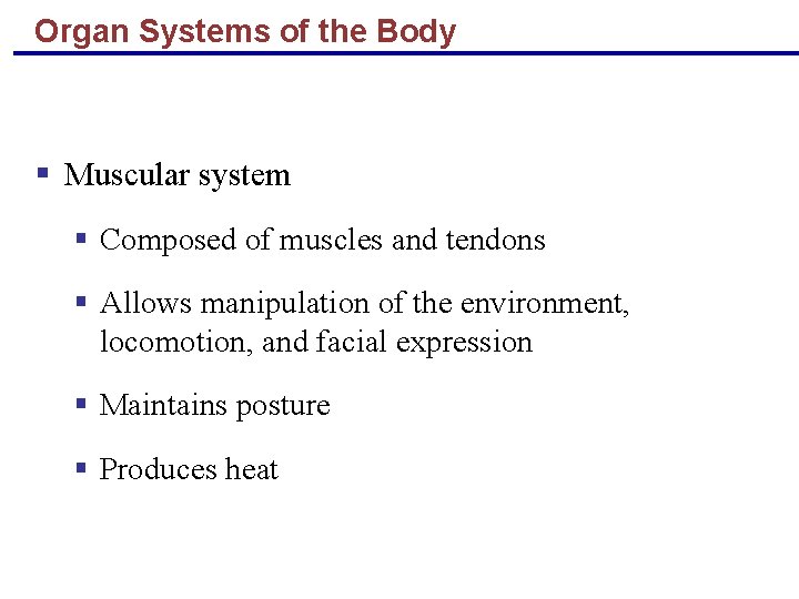 Organ Systems of the Body § Muscular system § Composed of muscles and tendons