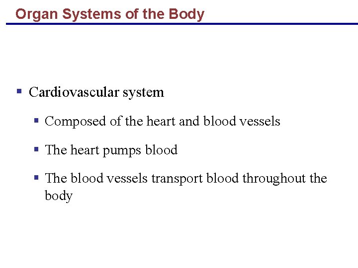 Organ Systems of the Body § Cardiovascular system § Composed of the heart and