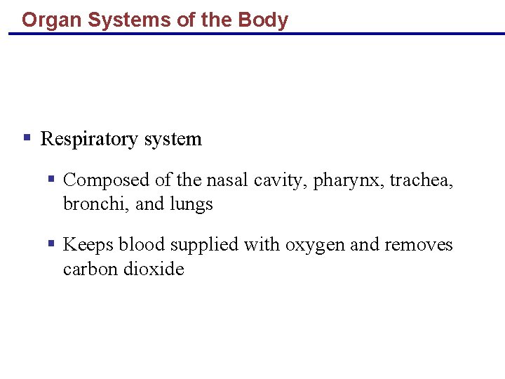 Organ Systems of the Body § Respiratory system § Composed of the nasal cavity,