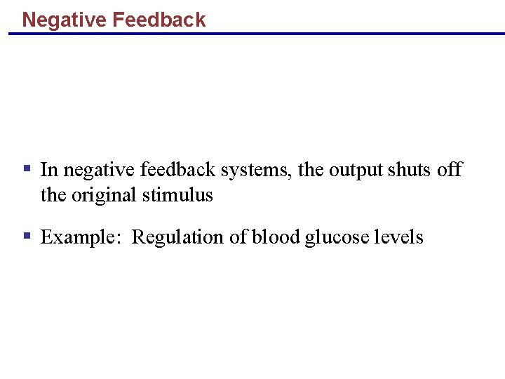 Negative Feedback § In negative feedback systems, the output shuts off the original stimulus