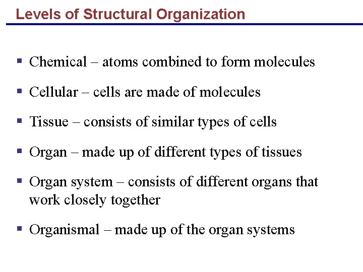 Levels of Structural Organization § Chemical – atoms combined to form molecules § Cellular